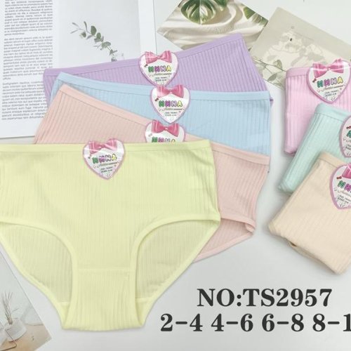 Трусы Proschenko (4-6) TS2957 mix (4-6) (лето) Proschenko TS2957 mix (4-6)