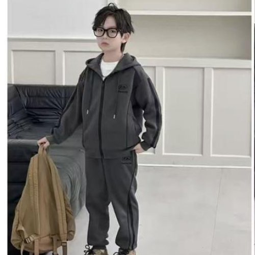 Костюм спорт Delfinka (122-140) 26609 grey (деми) Delfinka 26609 grey