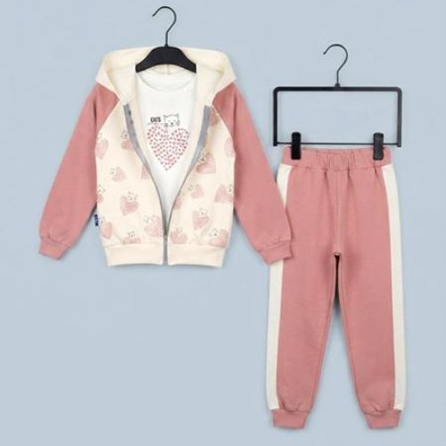 Костюм спорт Dino (1-4) DN1328 pink (деми) Dino DN1328 pink