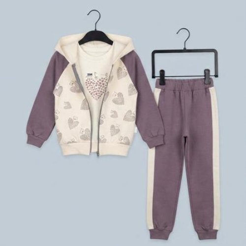 Костюм спорт Dino (1-4) DN1329 violet (деми) Dino DN1329 violet