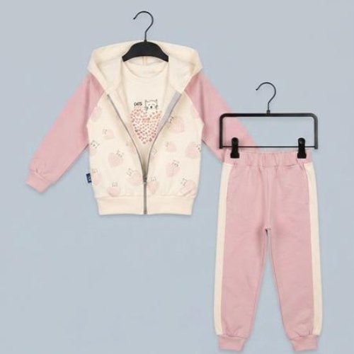 Костюм спорт Dino (1-4) DN1330 pink (деми) Dino DN1330 pink